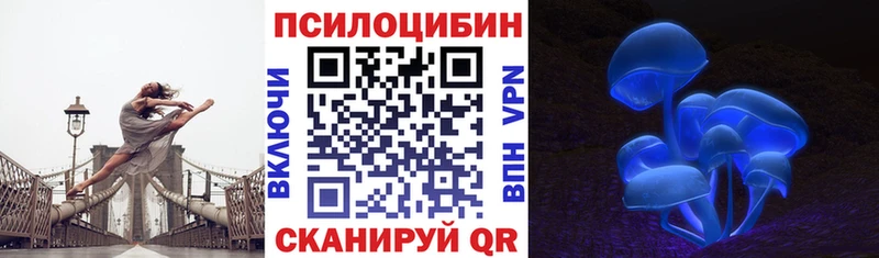 darknet клад  Вологда  Галлюциногенные грибы Cubensis 