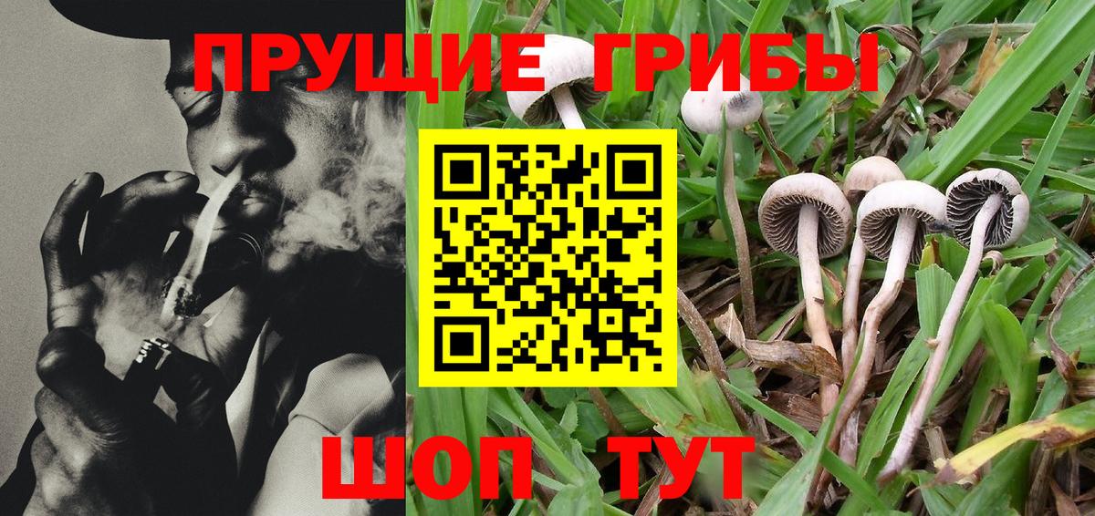 Cocaine  APVP  Мефедрон  Вход с VPN  Вологда  CBD масло  Хмурый  Бошки Шишки  МЕФ  Ляпка 
