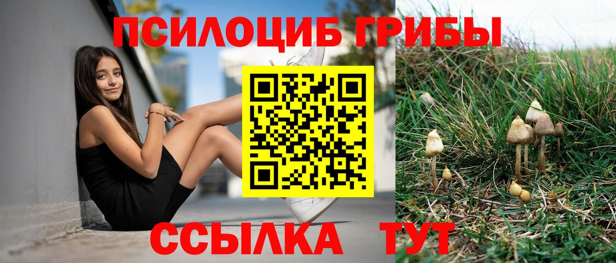 Псилоцибиновые грибы MAGIC MUSHROOMS Вологда