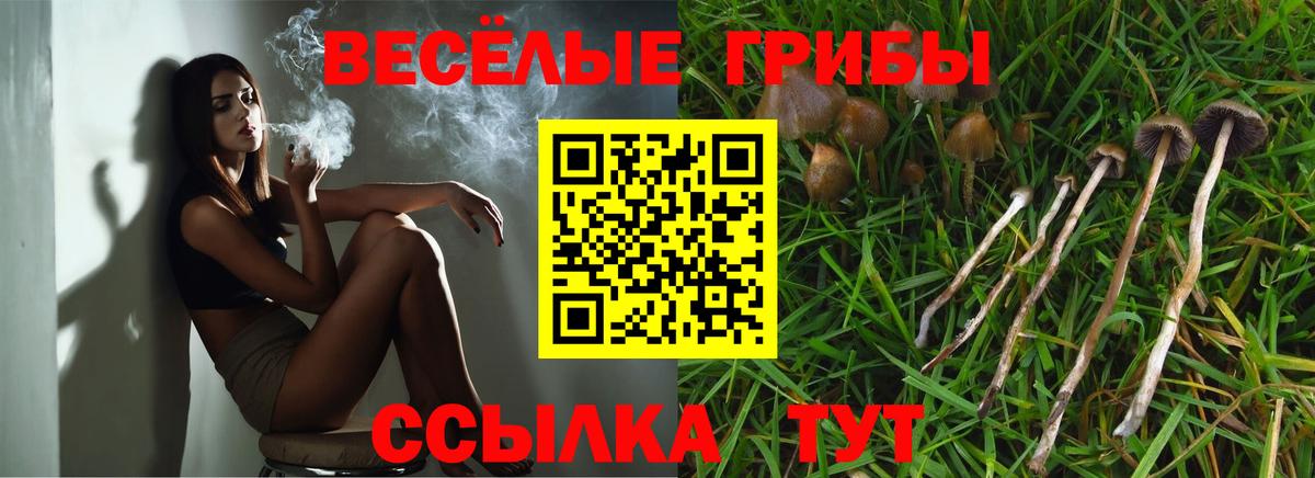 Галлюциногенные грибы Psilocybe  Вход с VPN  Галлюциногенные грибы Psilocybine cubensis  Вологда 