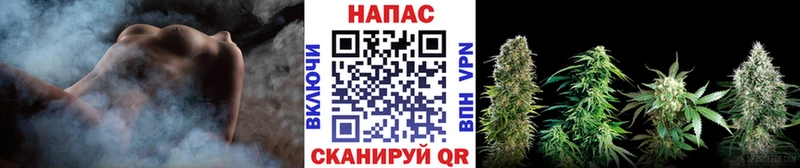 Бошки марихуана Ganja  mega как зайти  Вологда 